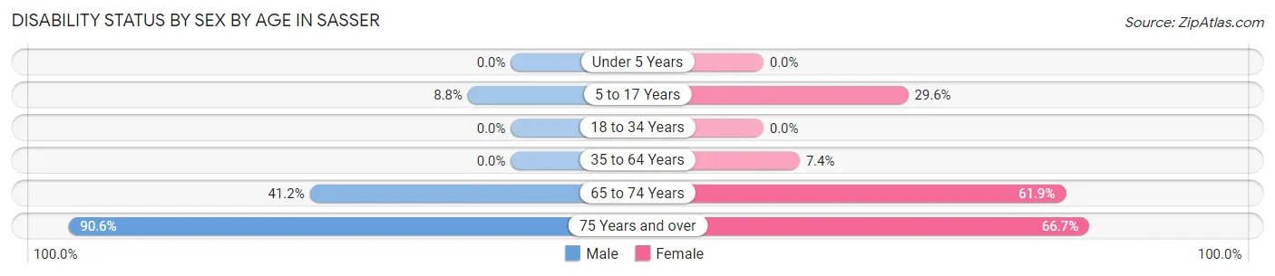 Disability Status by Sex by Age in Sasser
