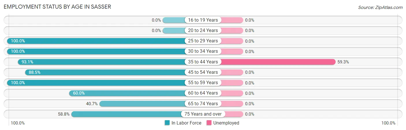 Employment Status by Age in Sasser