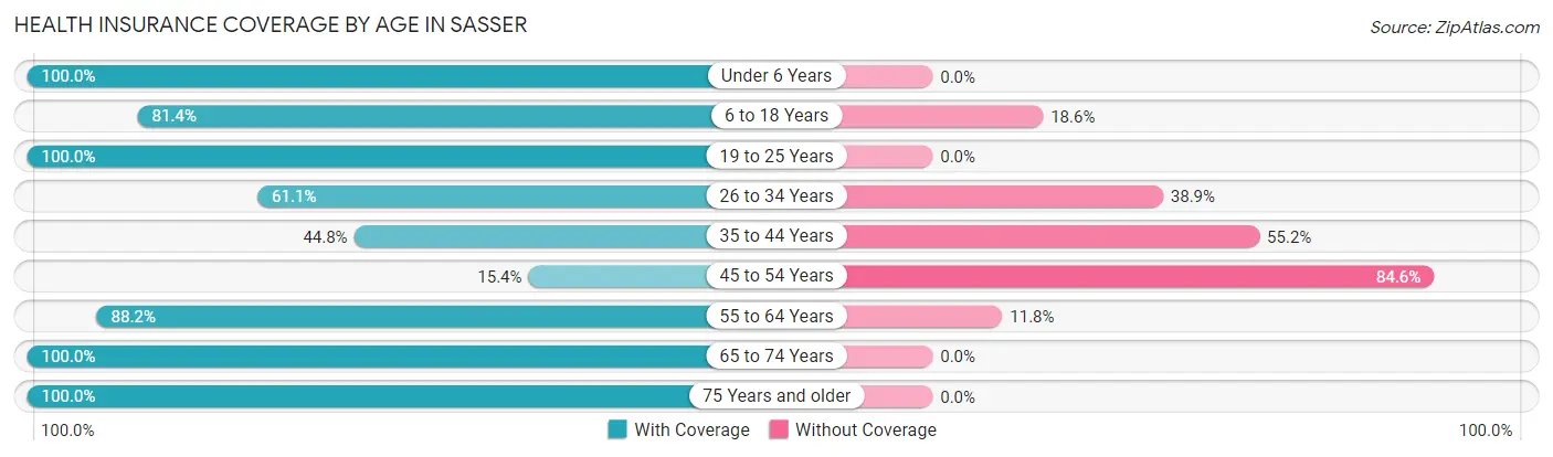 Health Insurance Coverage by Age in Sasser