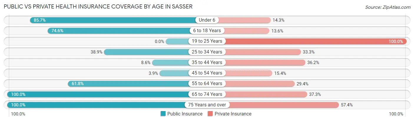 Public vs Private Health Insurance Coverage by Age in Sasser