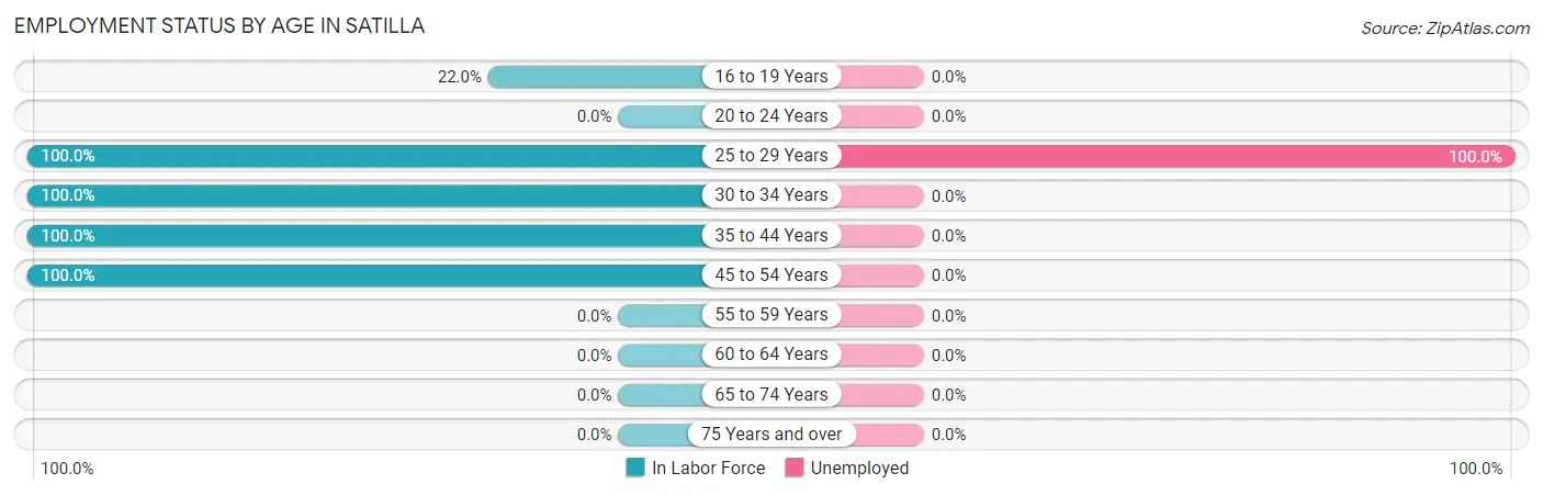 Employment Status by Age in Satilla