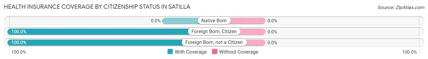 Health Insurance Coverage by Citizenship Status in Satilla