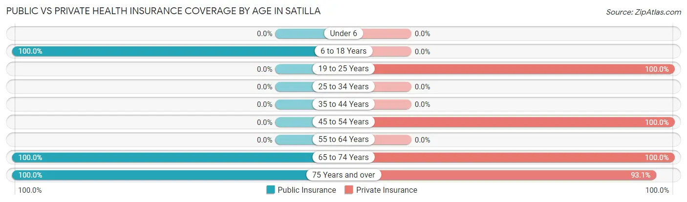 Public vs Private Health Insurance Coverage by Age in Satilla