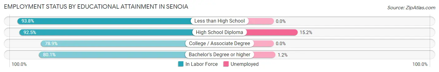 Employment Status by Educational Attainment in Senoia