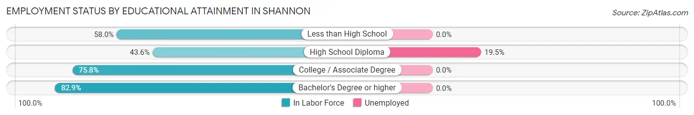 Employment Status by Educational Attainment in Shannon