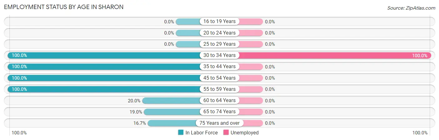Employment Status by Age in Sharon