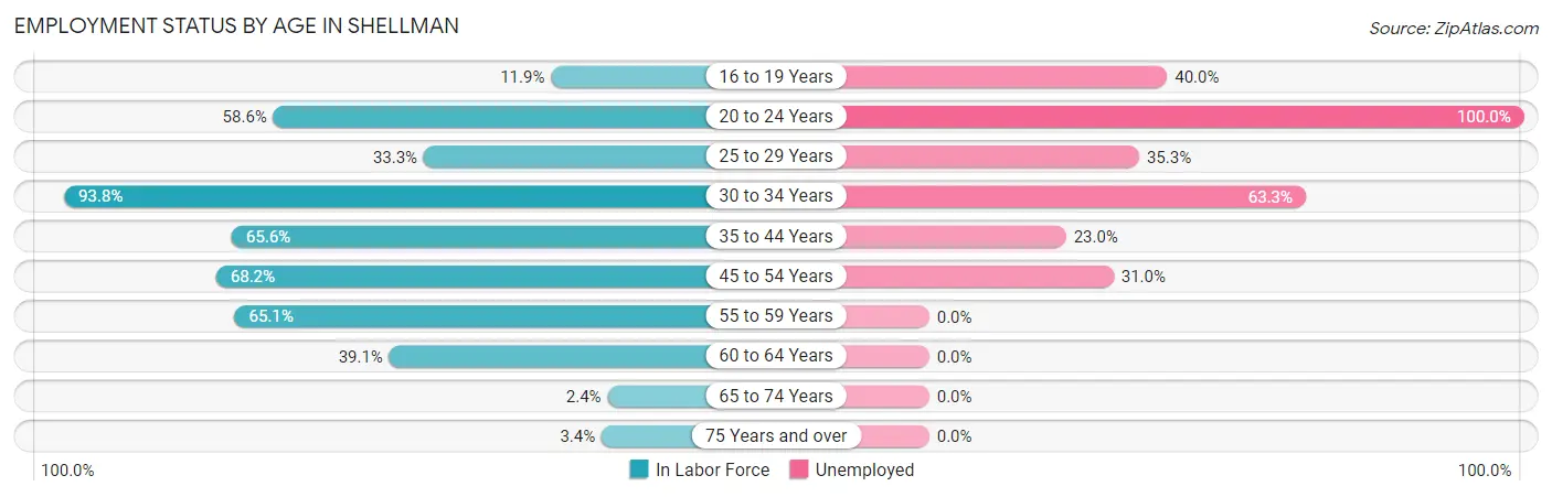 Employment Status by Age in Shellman