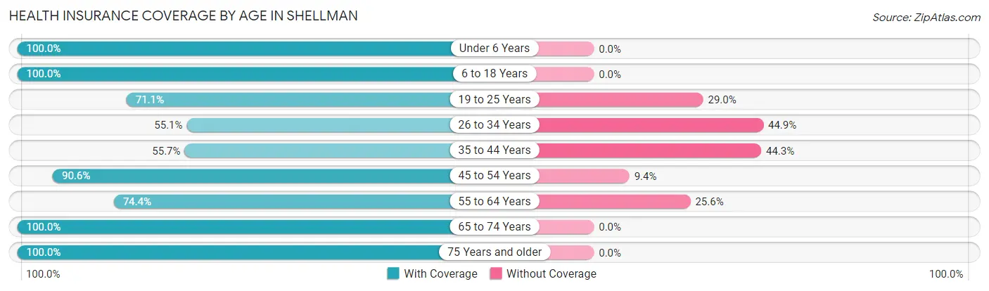 Health Insurance Coverage by Age in Shellman