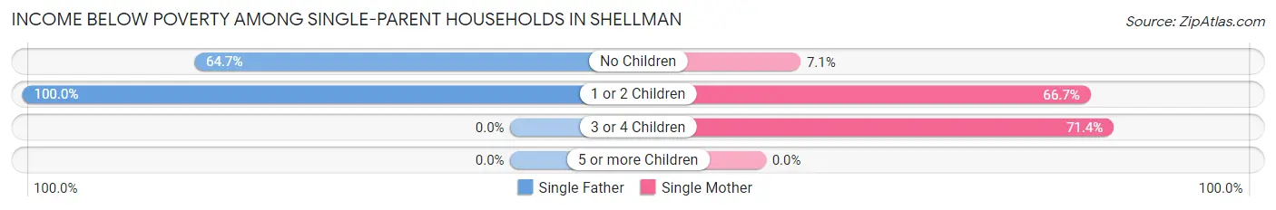 Income Below Poverty Among Single-Parent Households in Shellman