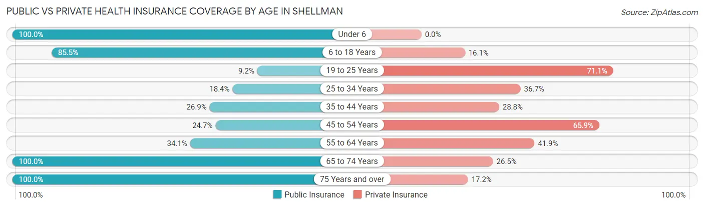 Public vs Private Health Insurance Coverage by Age in Shellman