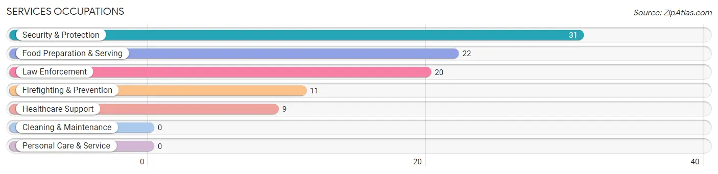 Services Occupations in Smarr