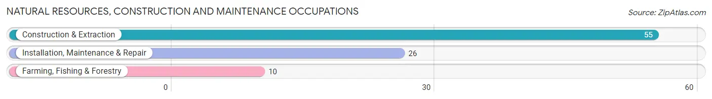 Natural Resources, Construction and Maintenance Occupations in Soperton