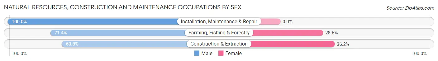Natural Resources, Construction and Maintenance Occupations by Sex in Sparks