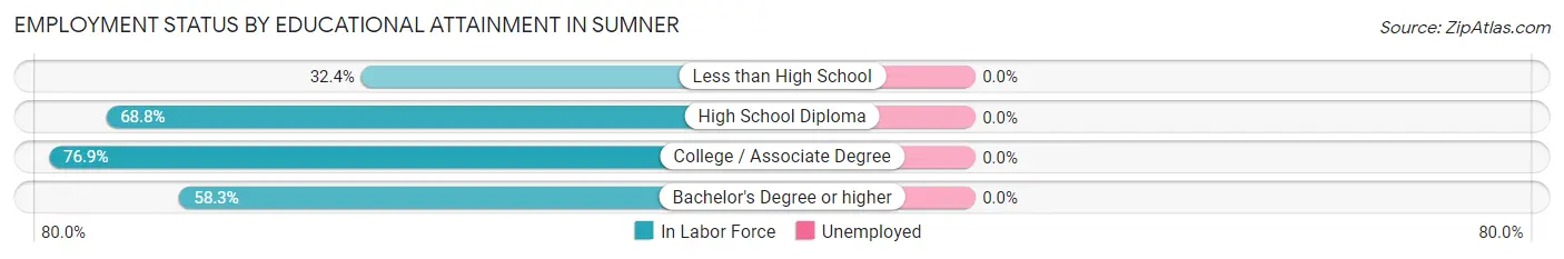 Employment Status by Educational Attainment in Sumner