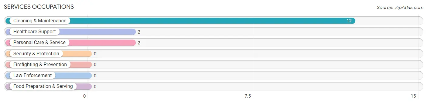 Services Occupations in Sumner