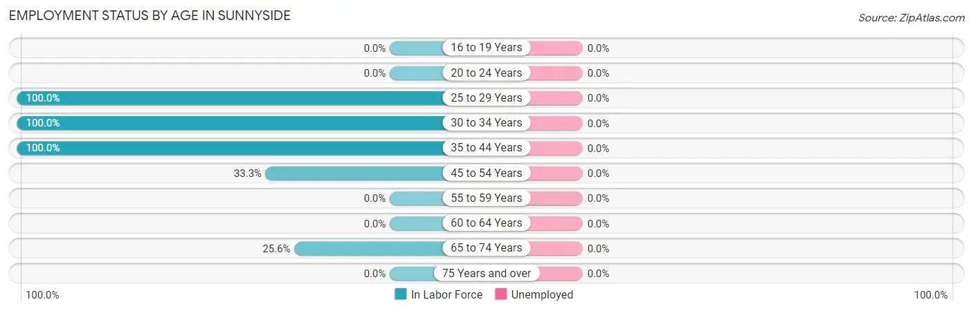 Employment Status by Age in Sunnyside