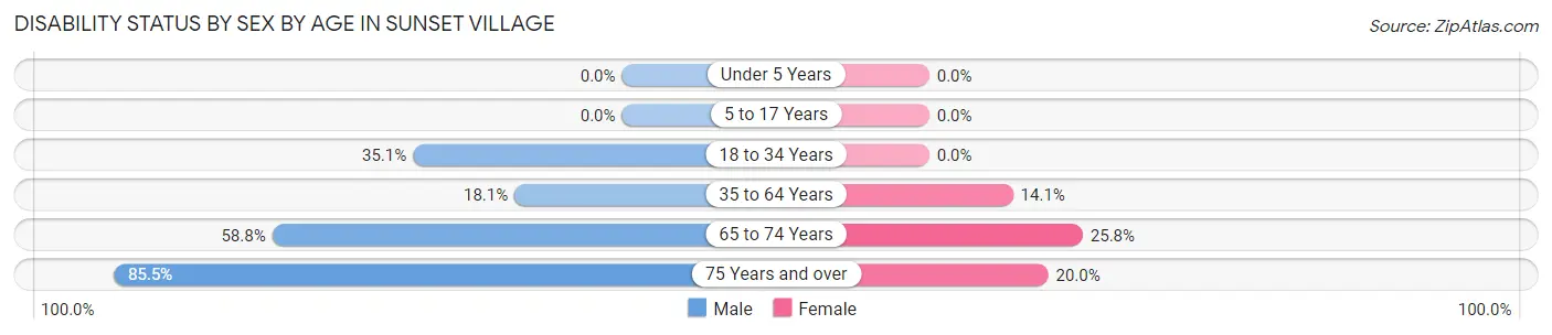 Disability Status by Sex by Age in Sunset Village