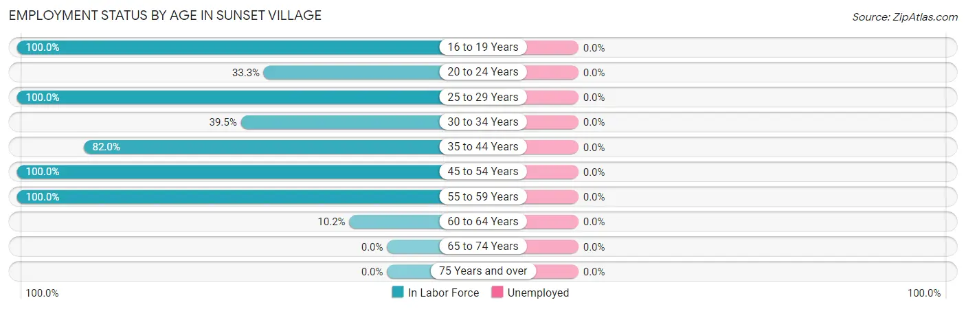Employment Status by Age in Sunset Village