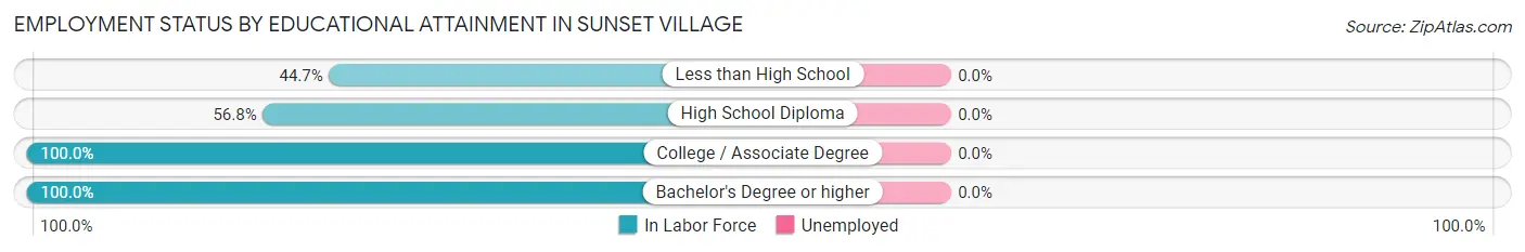 Employment Status by Educational Attainment in Sunset Village