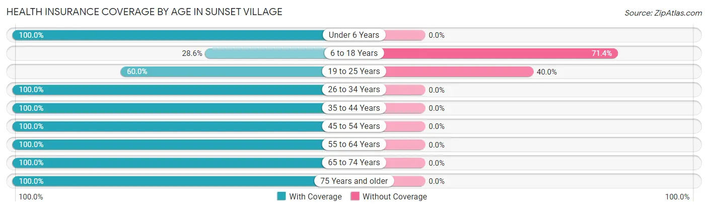 Health Insurance Coverage by Age in Sunset Village
