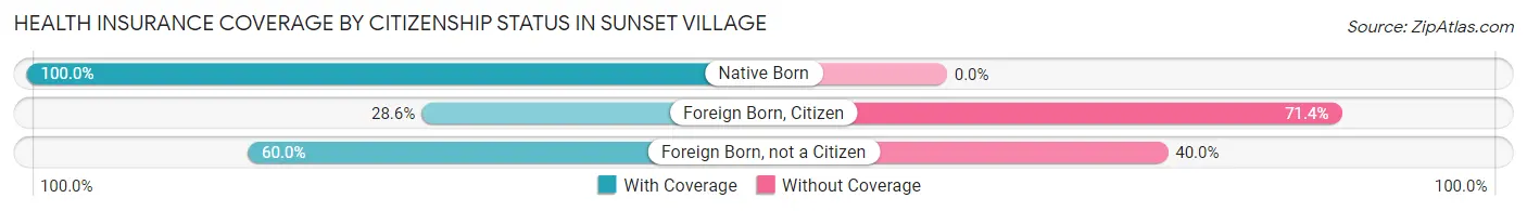 Health Insurance Coverage by Citizenship Status in Sunset Village