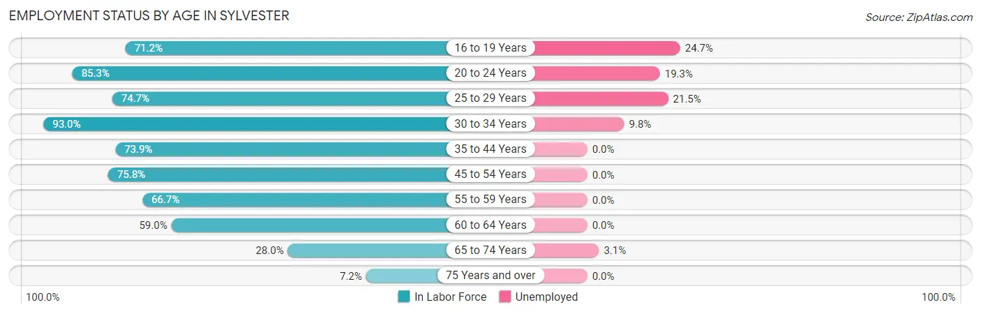 Employment Status by Age in Sylvester