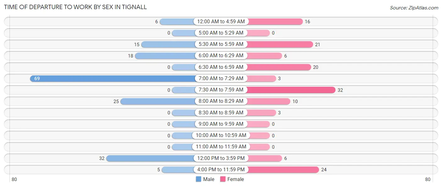 Time of Departure to Work by Sex in Tignall