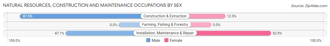 Natural Resources, Construction and Maintenance Occupations by Sex in Tunnel Hill