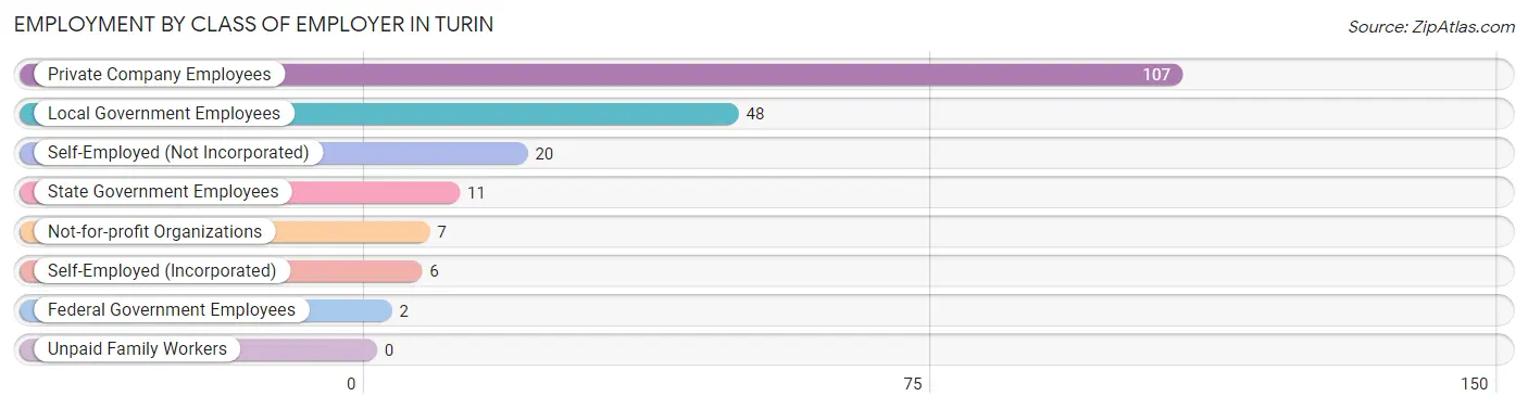 Employment by Class of Employer in Turin