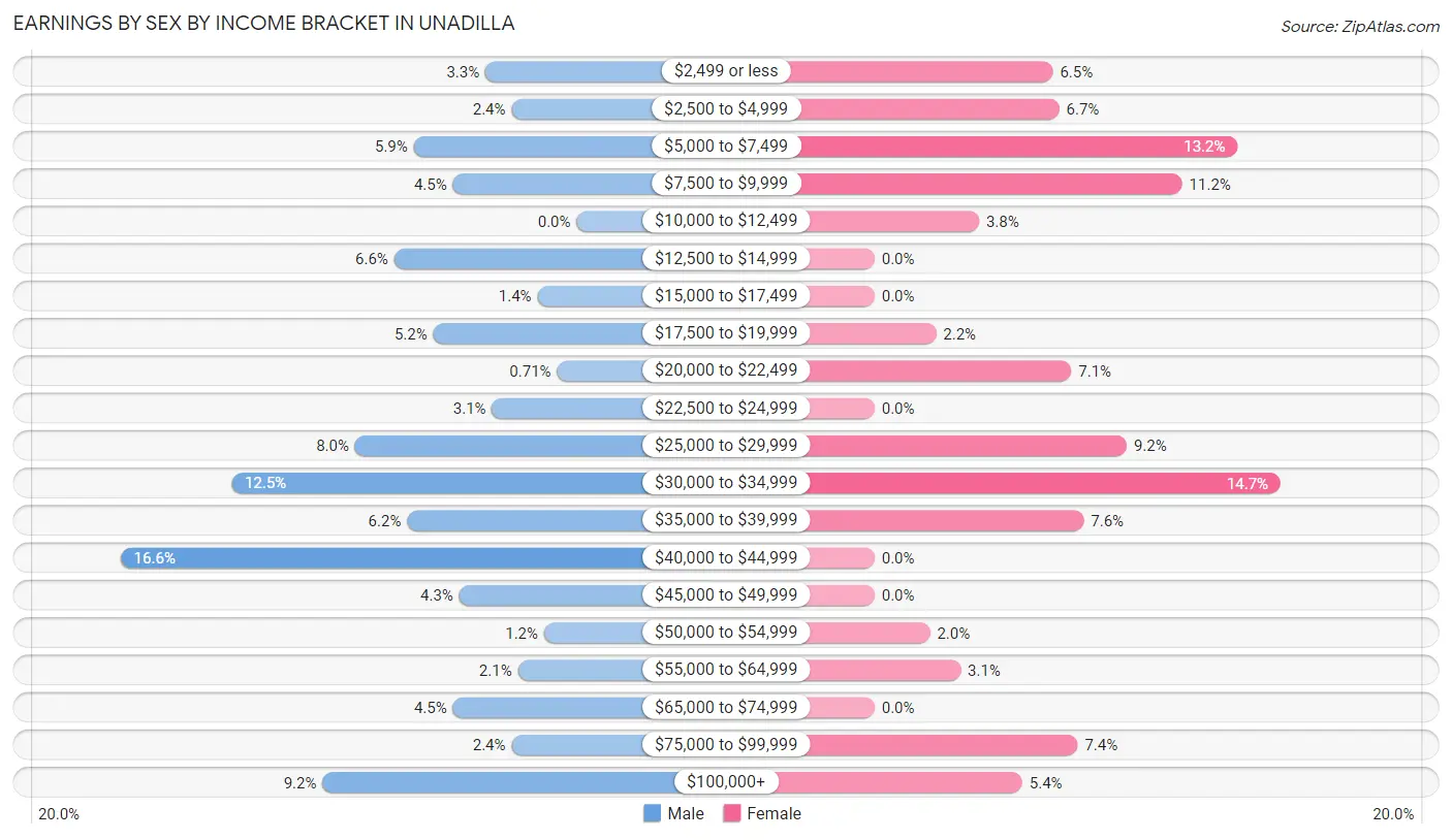 Earnings by Sex by Income Bracket in Unadilla