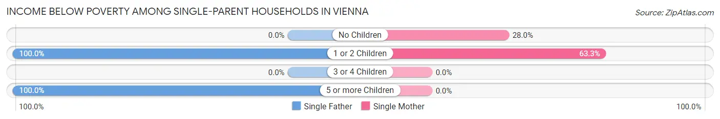 Income Below Poverty Among Single-Parent Households in Vienna
