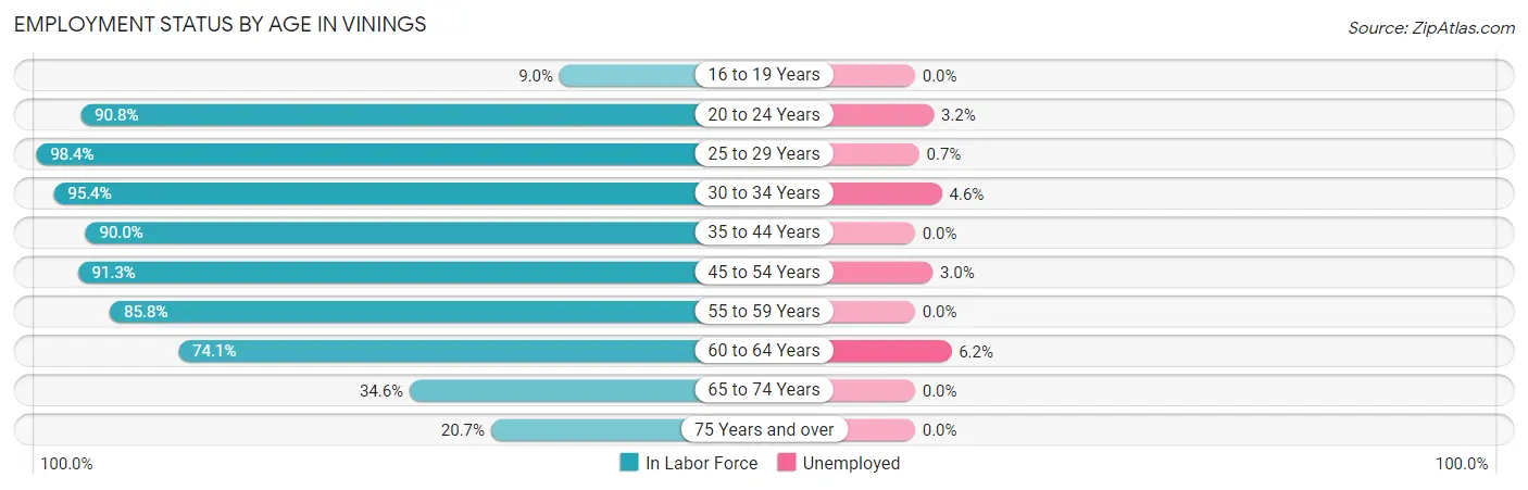 Employment Status by Age in Vinings