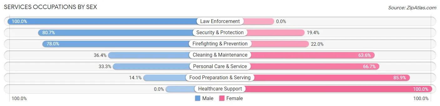 Services Occupations by Sex in Vinings