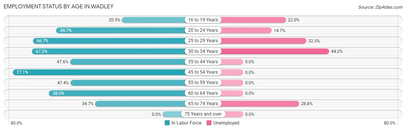 Employment Status by Age in Wadley