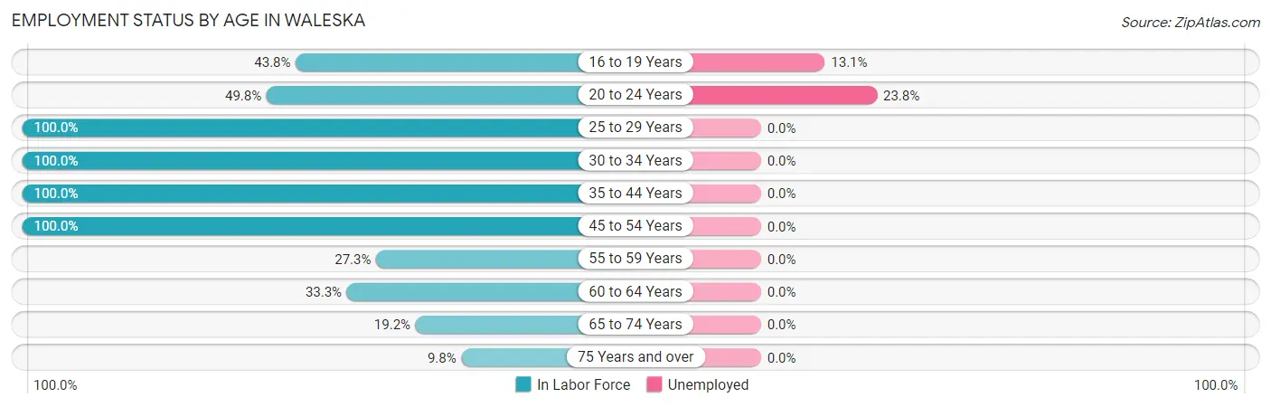 Employment Status by Age in Waleska