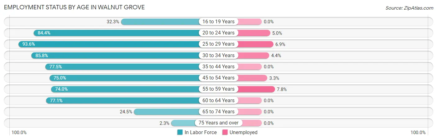 Employment Status by Age in Walnut Grove