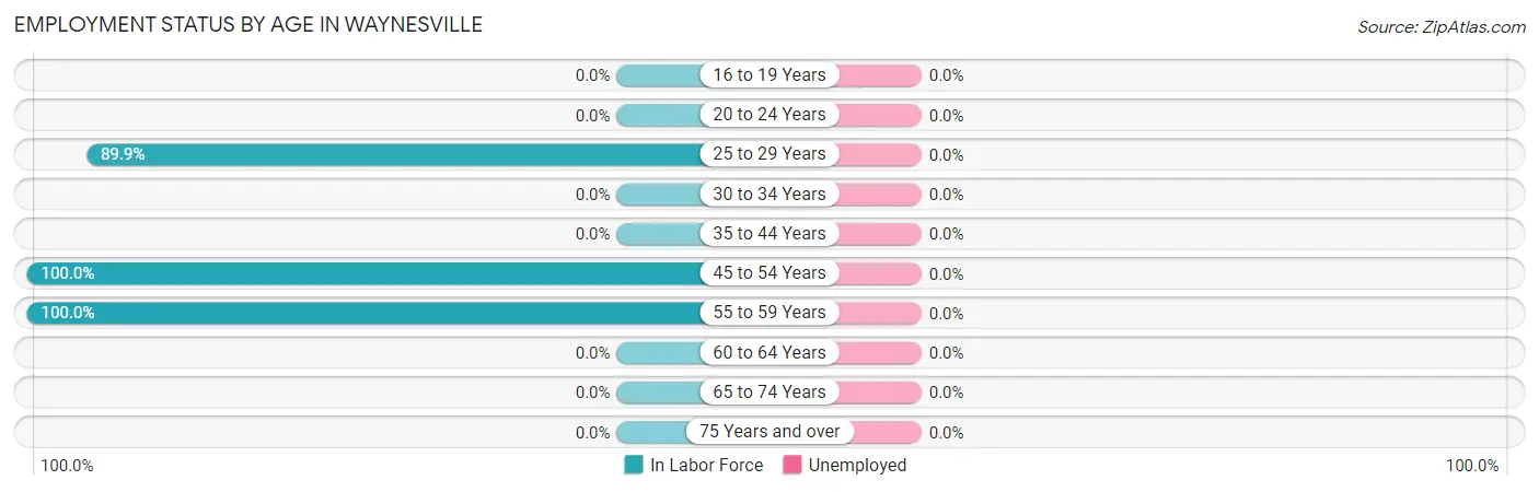 Employment Status by Age in Waynesville