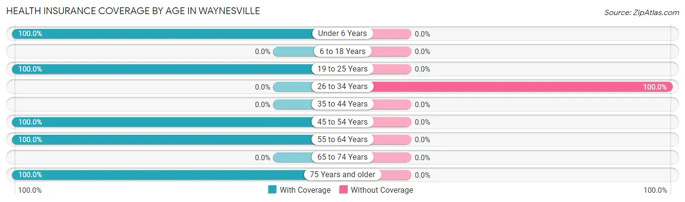 Health Insurance Coverage by Age in Waynesville