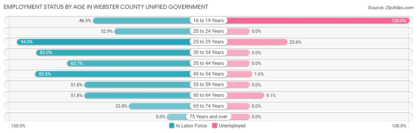 Employment Status by Age in Webster County unified government