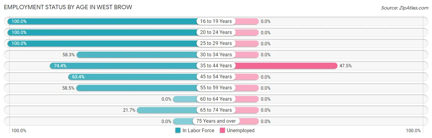 Employment Status by Age in West Brow