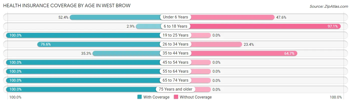 Health Insurance Coverage by Age in West Brow