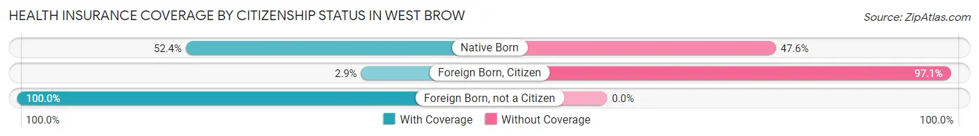 Health Insurance Coverage by Citizenship Status in West Brow