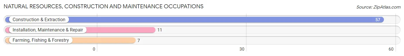 Natural Resources, Construction and Maintenance Occupations in Whigham