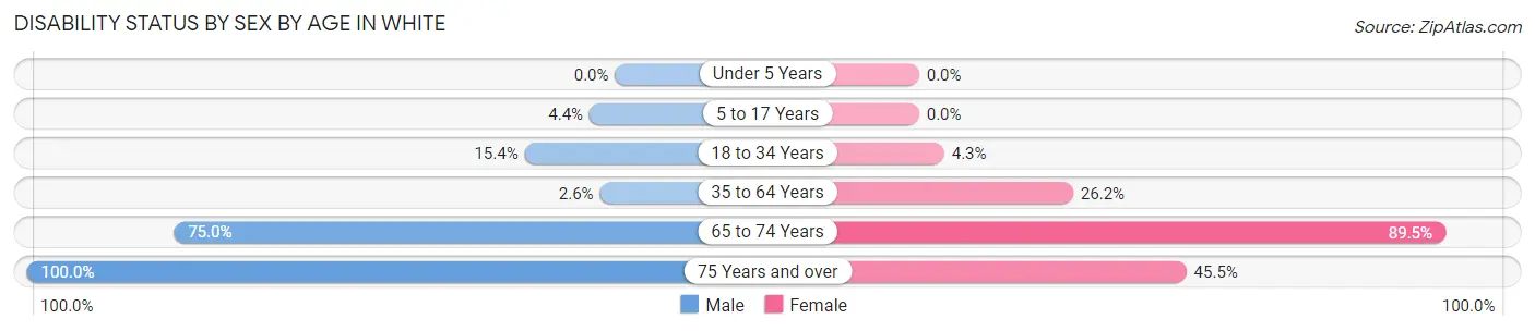 Disability Status by Sex by Age in White