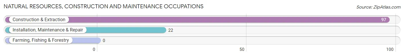 Natural Resources, Construction and Maintenance Occupations in Whitemarsh Island