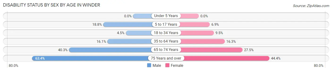 Disability Status by Sex by Age in Winder