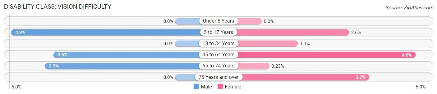 Disability in Winder: <span>Vision Difficulty</span>