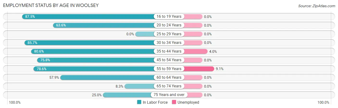 Employment Status by Age in Woolsey