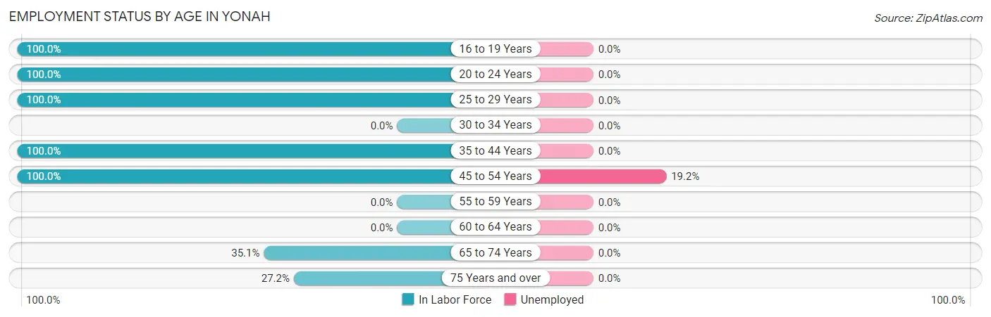 Employment Status by Age in Yonah