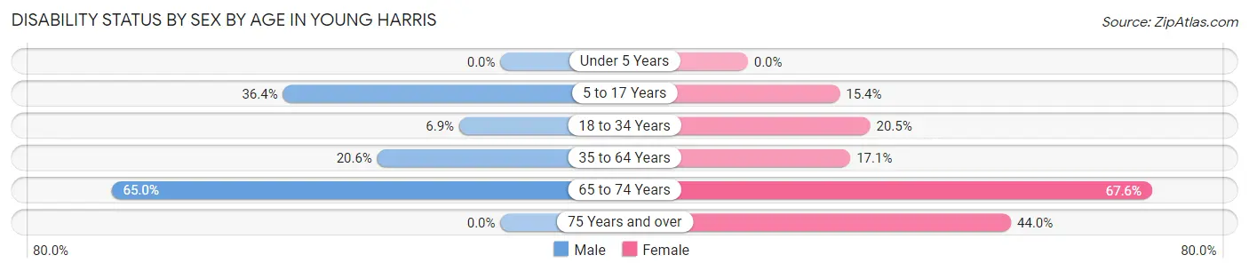 Disability Status by Sex by Age in Young Harris